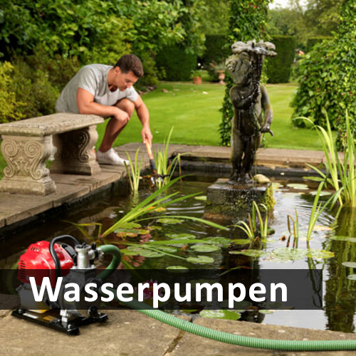 Honda Gartentechnik günstig kaufen WERTH Fachhändler