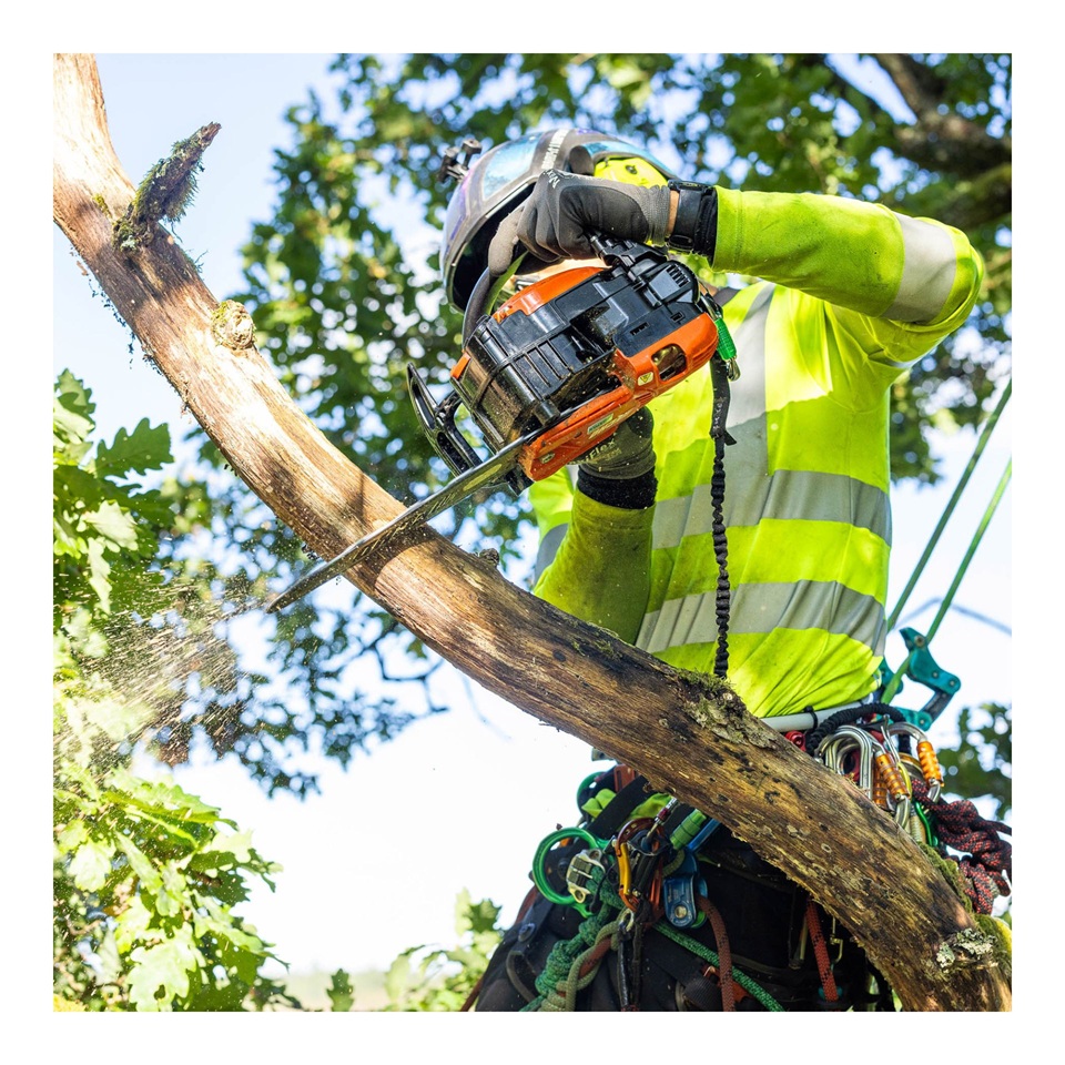 Motorsäge Echo CS-2511TES tophandle einhandsäge